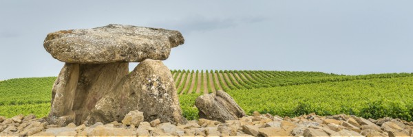 Candidatura del Paisaje Cultural del Vino y el Viñedo