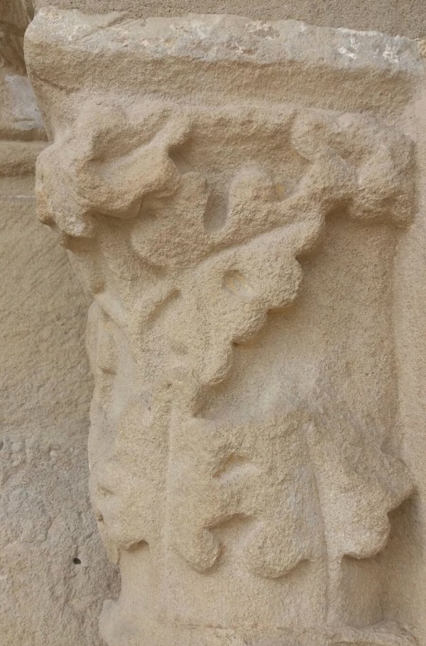 Siglos vitícolas