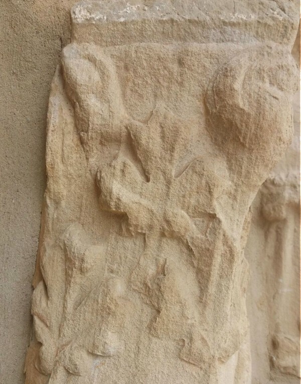 Siglos vitícolas