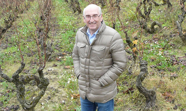 Dos bodegas de Rioja Alavesa en el Olimpo de Parker