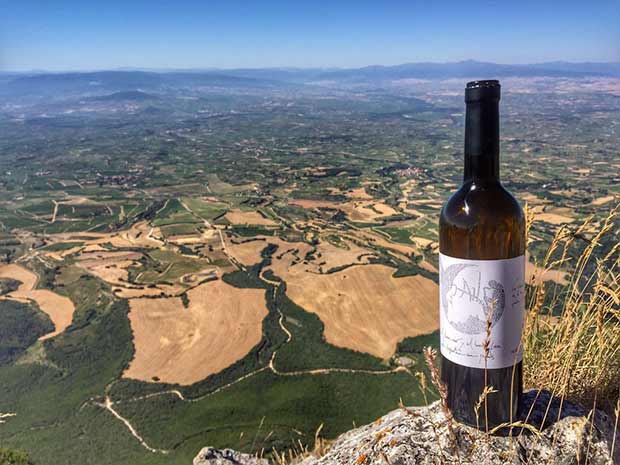 Jardín de viñedos desde el monte Palomares