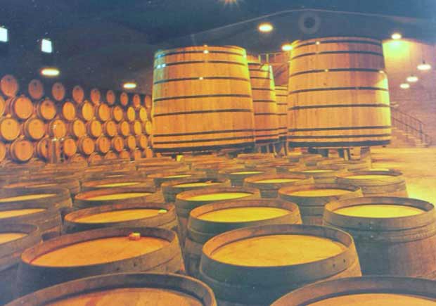 Rioja Alavesa abrazada a su camino