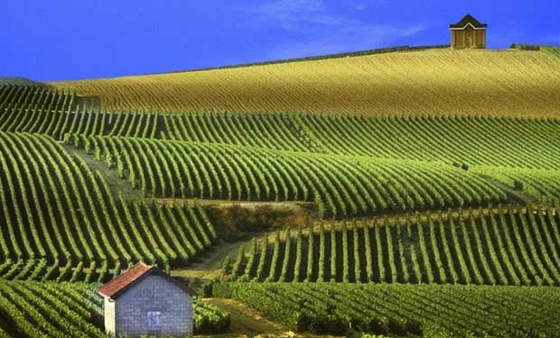Rioja Alavesa es Quijote luchando contra gigantes