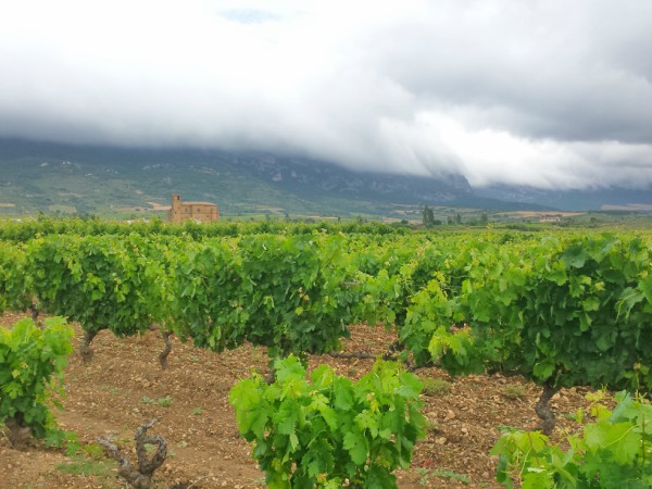 Compartir los sueños de Rioja Alavesa