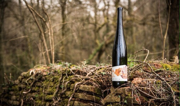 Poesía en una botella de vino Poesía en una botella de vino