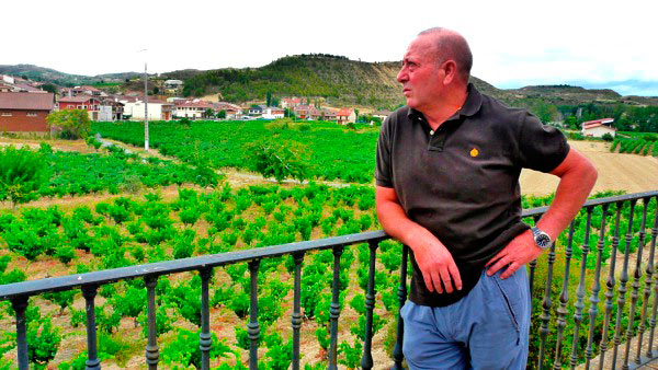 Consejo Regulador Rioja
