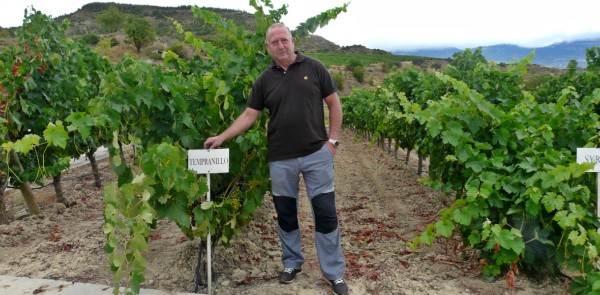 Consejo Regulador de Rioja
