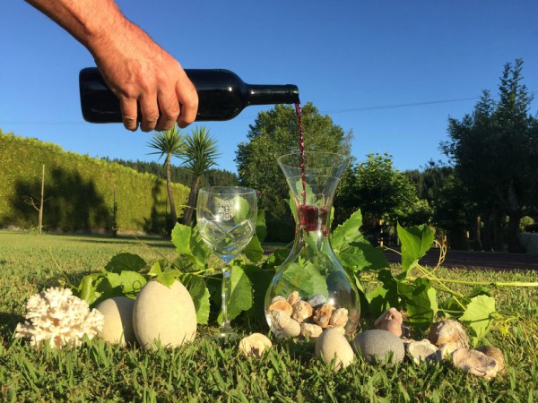 Un relato de Rioja Alavesa - Joserra Elorriaga