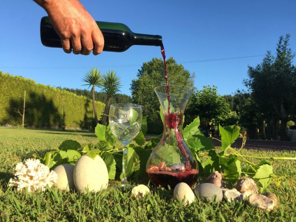 Un relato de Rioja Alavesa - Joserra Elorriaga