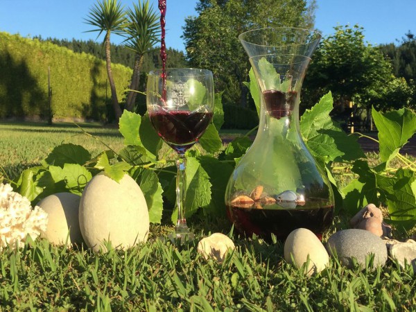 Un relato de Rioja Alavesa - Joserra Elorriaga