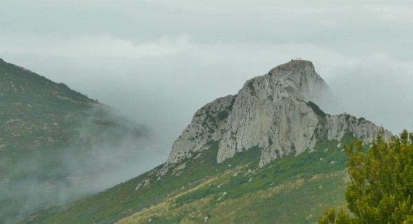 Sierra hormigas Redilla