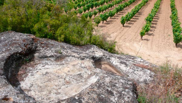 Cambios en Rioja Alavesa
