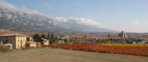 Rioja Alavesa DO
