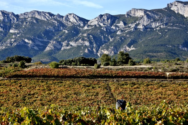 blanca-paisaje-leza