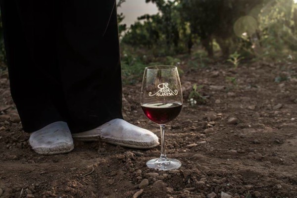 Fiesta de la Vendimia en Rioja Alavesa