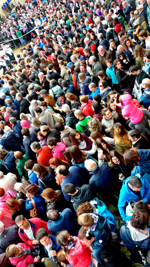 Fiesta de la Vendimia en Samaniego