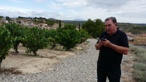 Viñedos de Álava