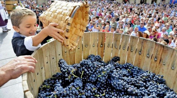 Fiesta de la Vendimia en Rioja Alavesa