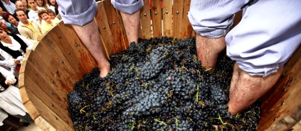 Fiesta de la Vendimia en Rioja Alavesa