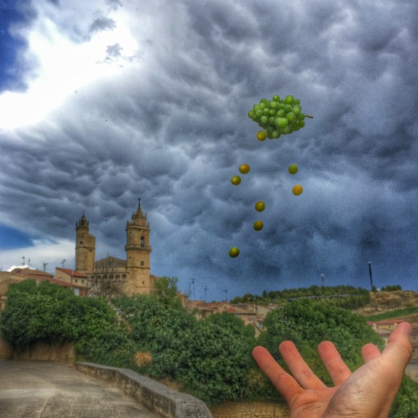 valdelana-uvas-cielo