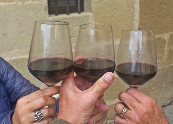 vendimia-brindis-nos