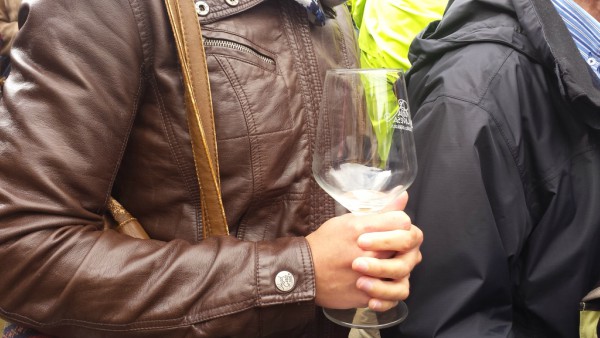 Fiesta de la Vendimia en Samaniego