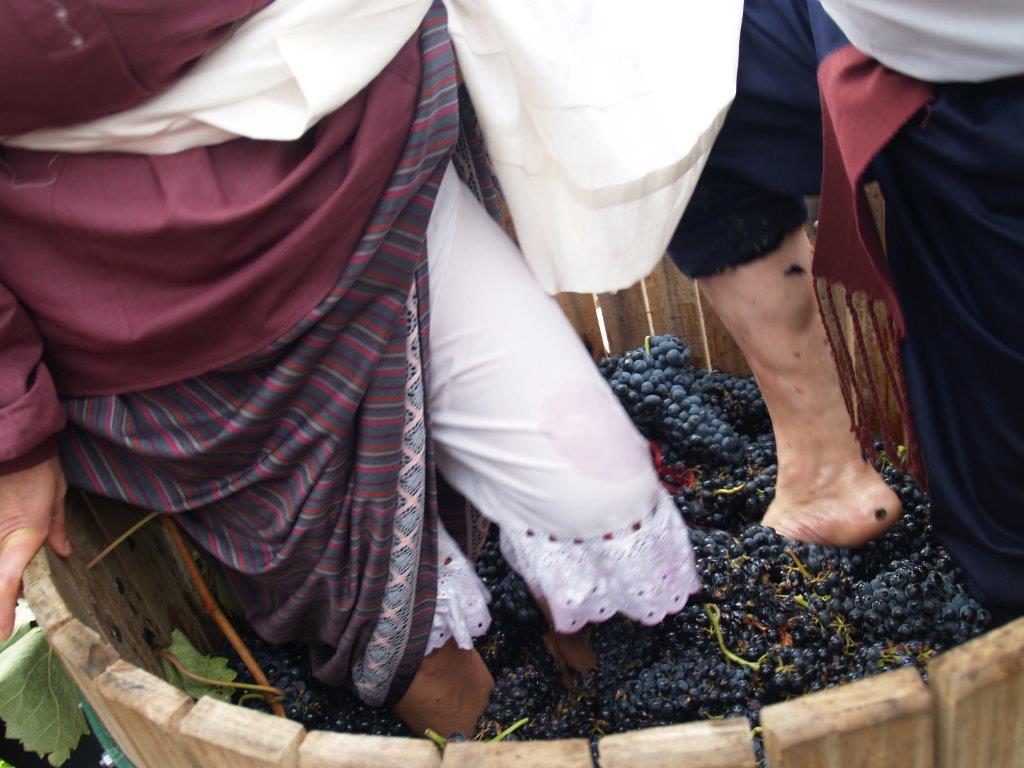 Fiesta de la Vendimia en Samaniego