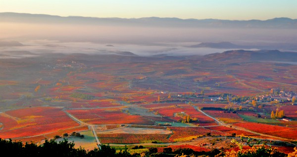 Rioja Alavesa, Patrimonio Mundial de la Unesco