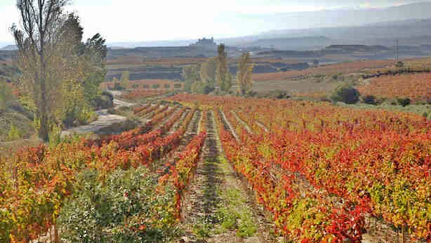 rioja-alavesa