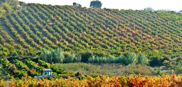 topo-tractor-rioja-alavesa