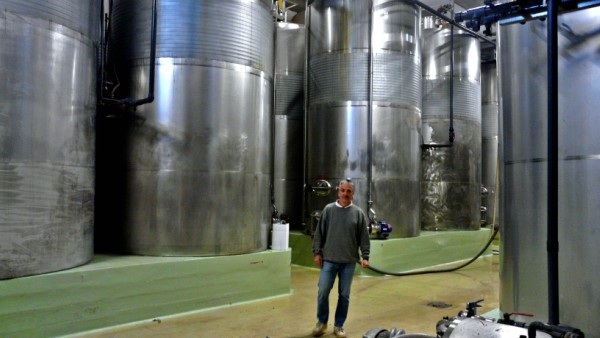 vendimia-edu-bodega