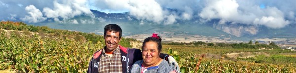 vendimia-pareja-portu2