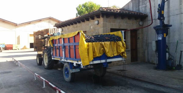 vendimia-tractor