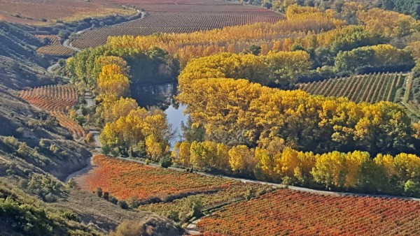 caminante-curva-ebro