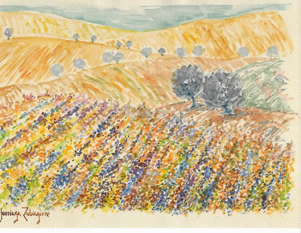 caminante-elciego-paisaje