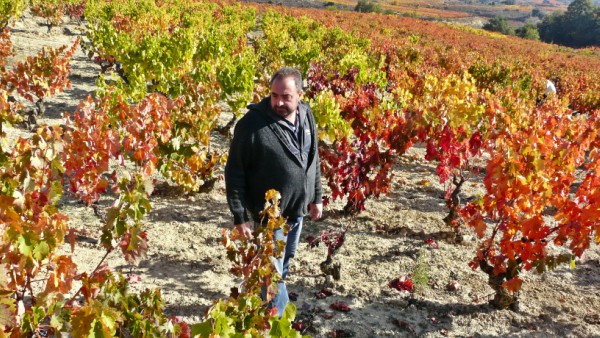 samaniego-mira-vina