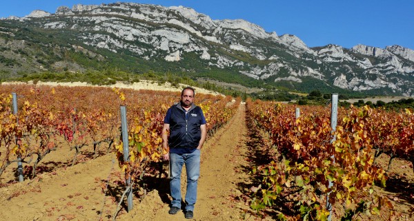 samaniego-vina-alta