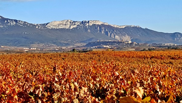 sosten-paisaje-cepassierra