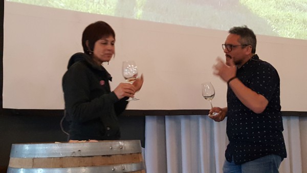 Redescubrir Rioja Alavesa Redescubrir Rioja Alavesa