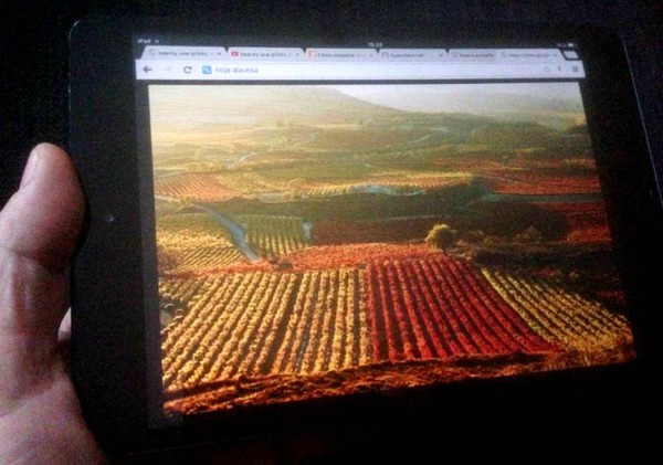Viejos Viñedos de Álava Viejos Viñedos de Álava