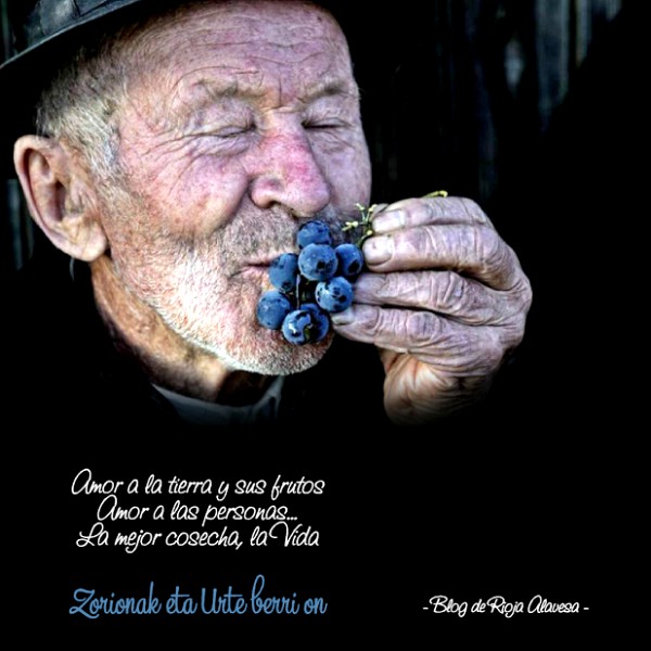navidad-uvas-alavesa