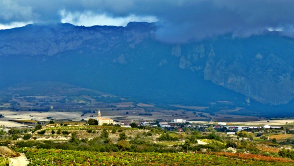 Negar la realidad de Rioja Alavesa Negar la realidad de Rioja Alavesa