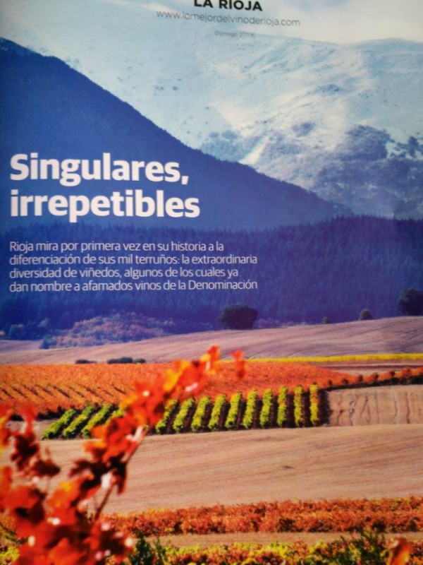 Viejos Viñedos de Álava EXTRAÑA percepción de los Viñedos Singulares de Rioja Alavesa