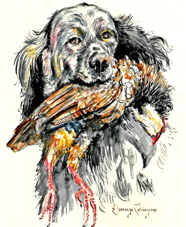 dibujo-perro