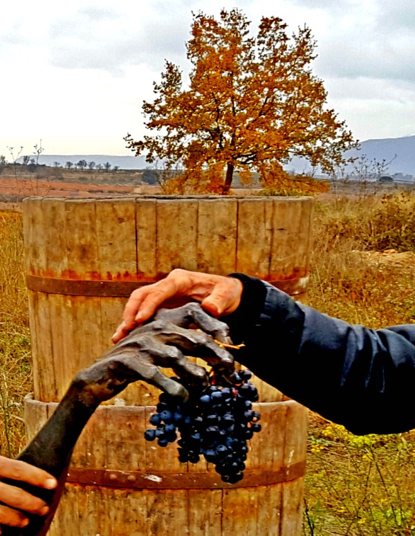 Fragua de Rioja Alavesa