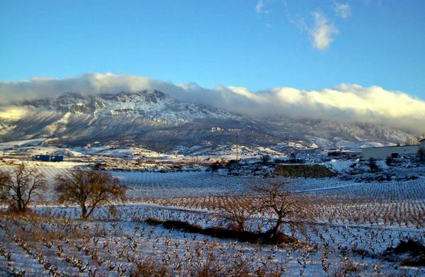 Imagen Ruta del Vino de Rioja Alavesa