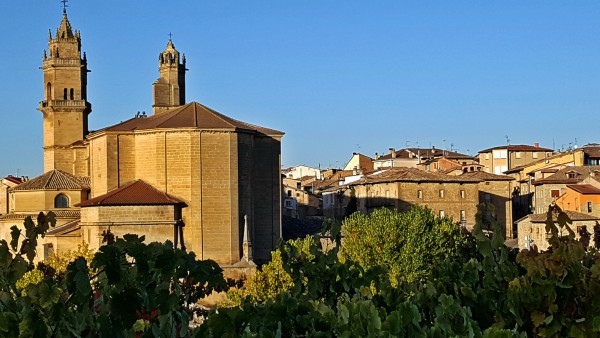 salir-elciego-uno