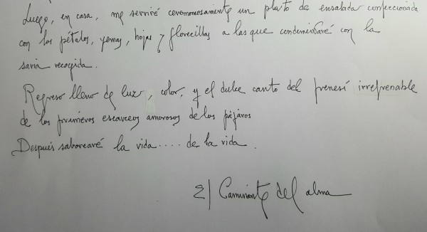 Escrito-Caminante