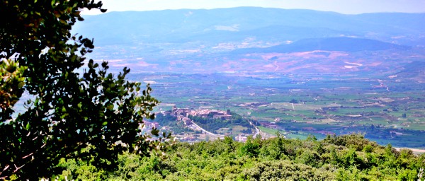 Interpretación del paisaje urbano de Rioja Alavesa desde la historia y la viña (y II)