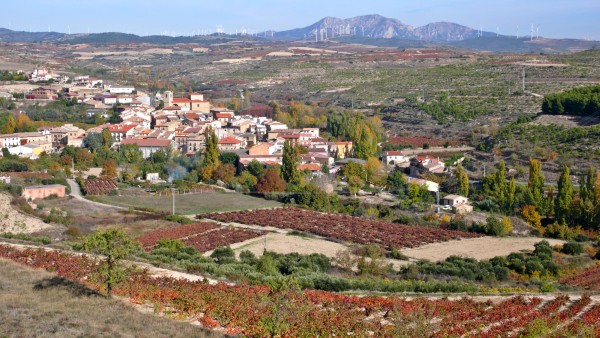 Paisaje de Rioja Alavesa desde la Historia